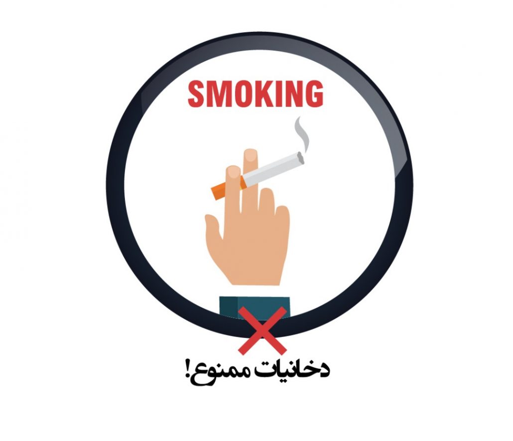 WhatsApp Image 2019-05-10 at 10.17.45 PM