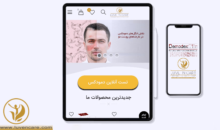 تست آنلاین تشخیص دمودکس