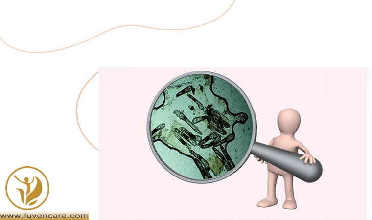 پوستتان شاداب نیست؟ تراکم دمودکسها را بررسی کنید.